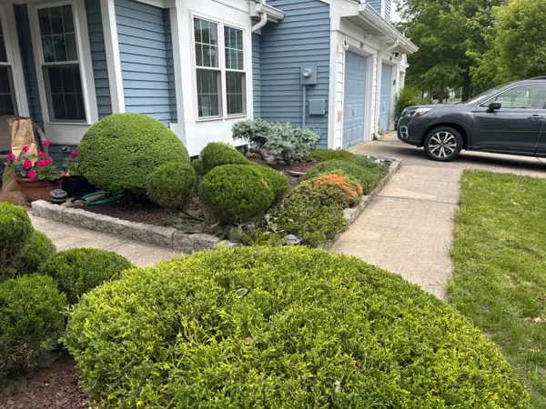 Pruned Shrubs & Walkway