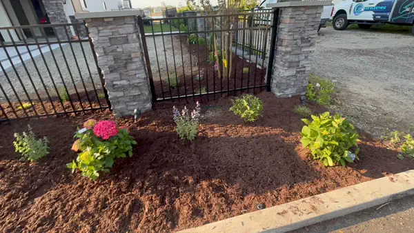 Hydrangea Corner
