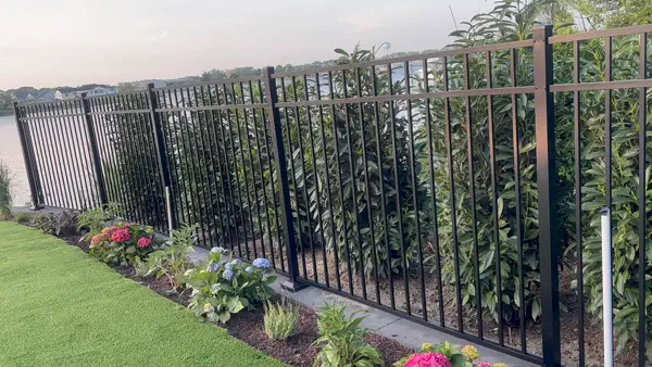 Garden Along the Fence