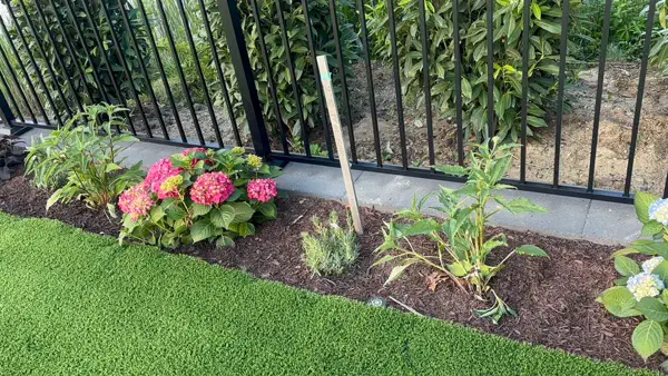 Blooms in Fresh Mulch