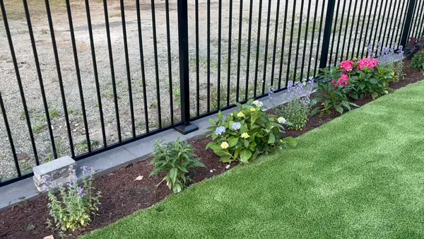 Hydrangea Border