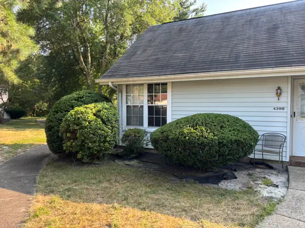 Shrub & Yard Cleanup